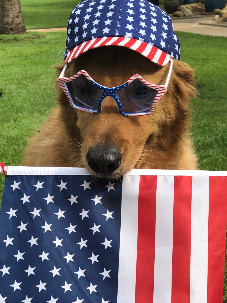 CanineAngelsInc's tweet photo. We thank all those who safeguard our freedom and remember those who were lost on this Memorial Day. https://t.co/uJuZlNzsPT