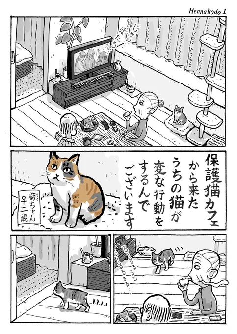 2ページ猫漫画「保護猫カフェから来たうちの猫が変な行動をするんでございます」 