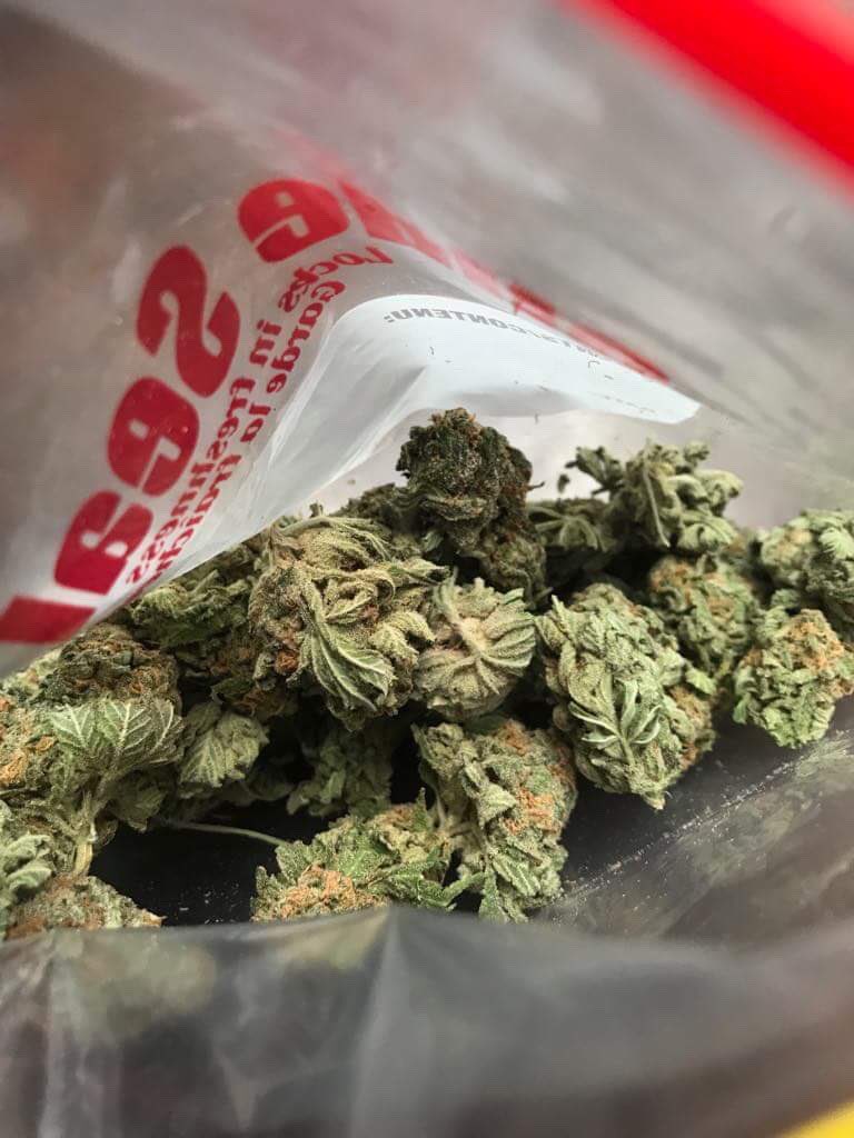 Rogerivan07's tweet photo. Wake &amp; bake 😙💨💨 https://t.co/IbeBNULR40