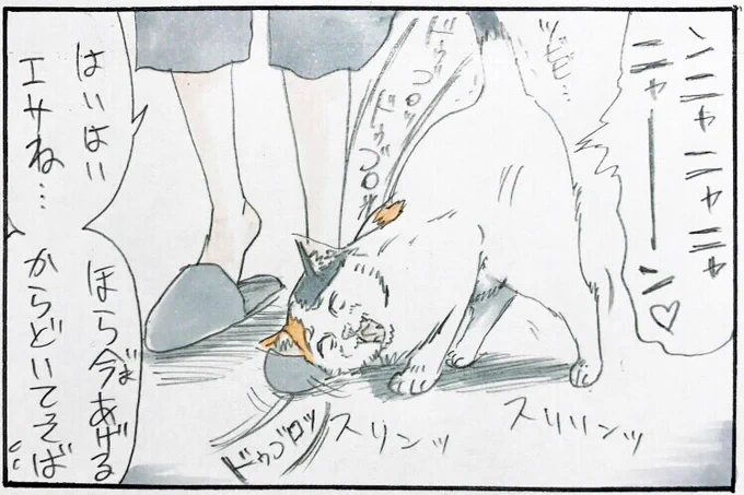 『ビフォーアフター』 