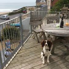 SouthoverBeach's tweet photo. Southover Apartments #Woolacombe are #SelfCatering #PetFriendly #Apartments in #NorthDevon. Accept Only #SmallCagedAnimals and #WellBehavedDogs with prior agreement. For more details, visit- https://t.co/9Gk3yaqRUr
#PetFriendlyAccommodationWoolacombe #DogFriendly https://t.co/th5nWYqFWB