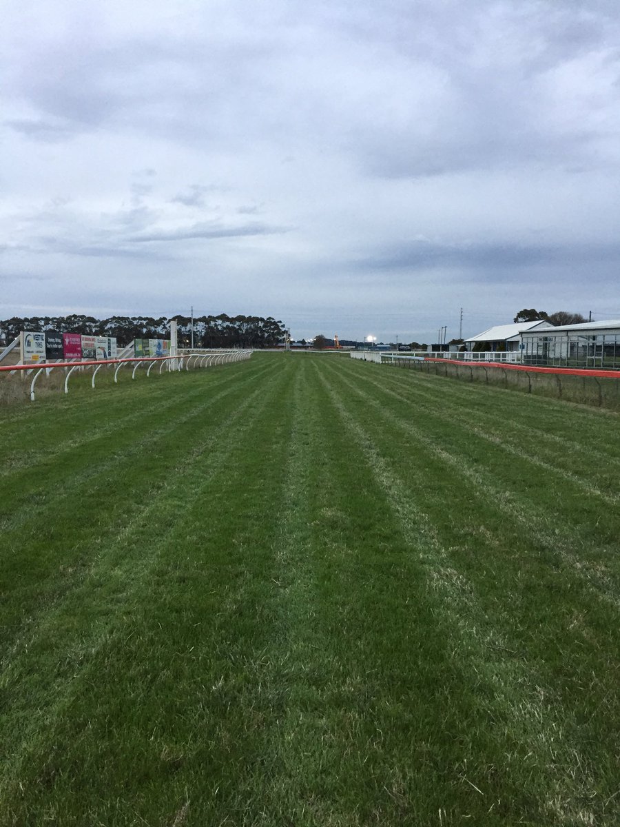 First cut of the newly-seeded track and it’s come up a treat! Lights are on at the saleyards next door in preparation for their next sale.