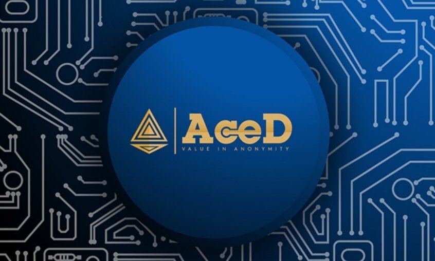 Chica de Crypto tweet media