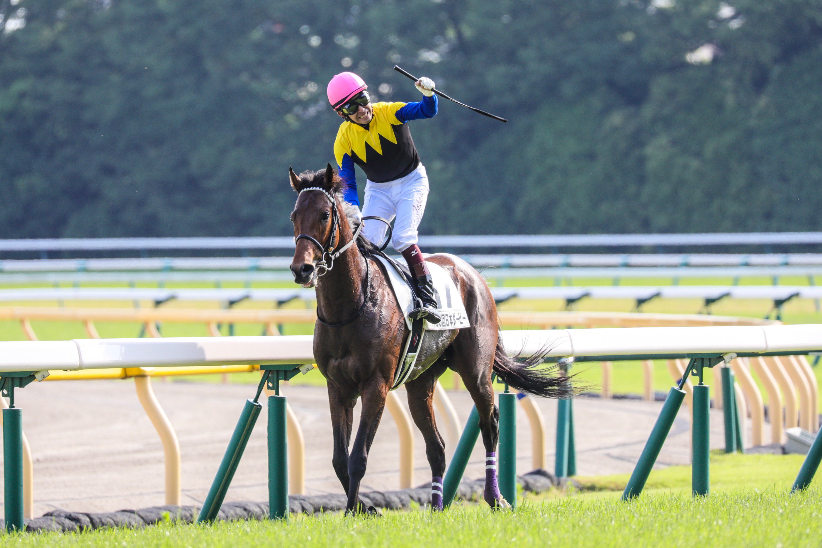 Twitter 上的 インチョキ堂 18 05 27 日本ダービー ウイニングラン 東京競馬場 福永祐一騎手とワグネリアン号 悲願のダービー制覇おめでとう 泣 福永祐一 ワグネリアン 日本ダービー Keiba 競馬 T Co Qouh9zrswm Twitter