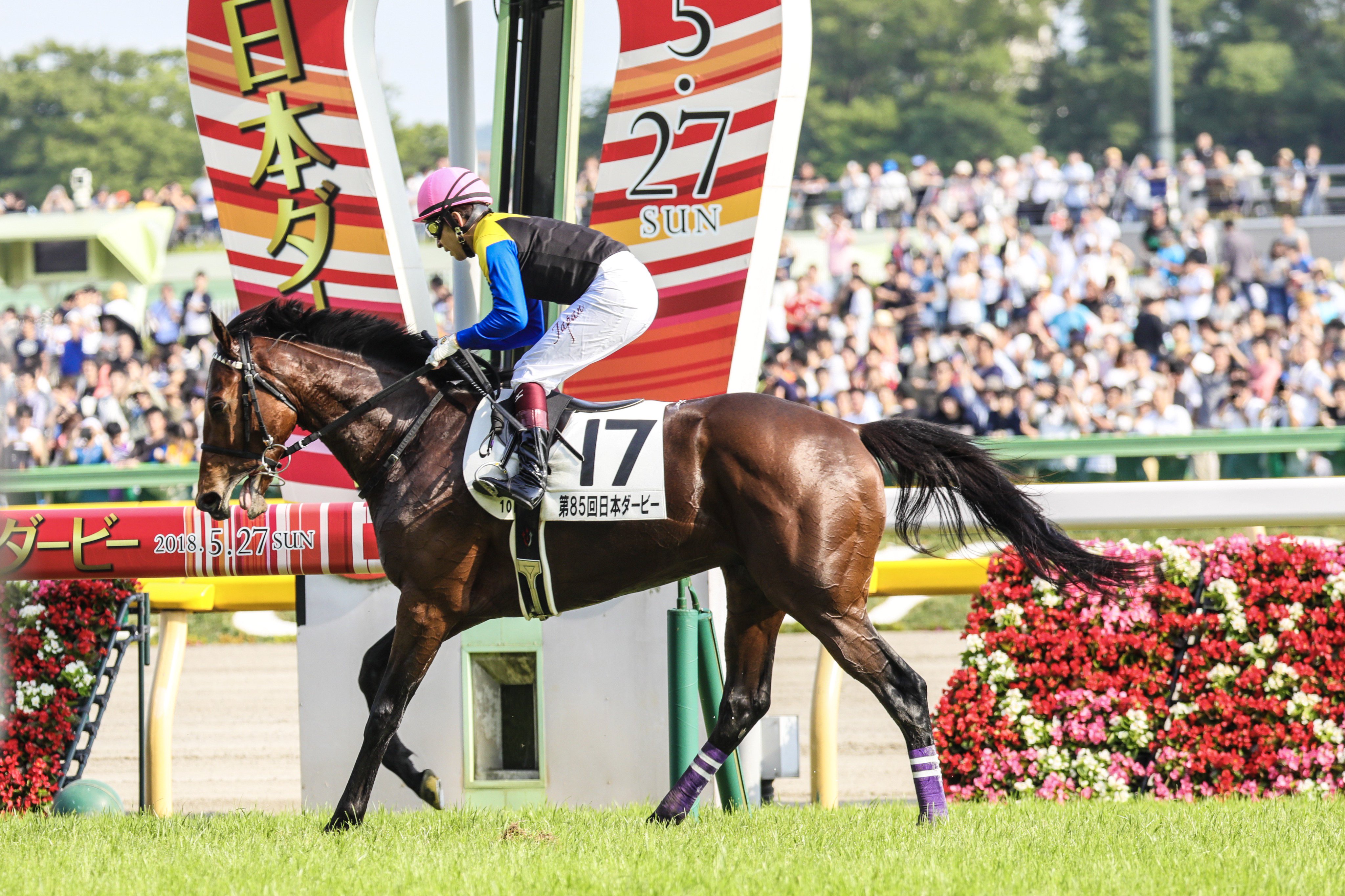 Twitter 上的 インチョキ堂 18 05 27 日本ダービー ウイニングラン 東京競馬場 福永祐一騎手とワグネリアン号 悲願のダービー制覇おめでとう 泣 福永祐一 ワグネリアン 日本ダービー Keiba 競馬 T Co Qouh9zrswm Twitter