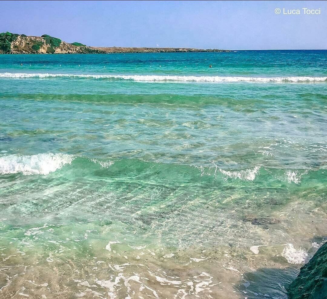 SE DICO TARANTO tweet media