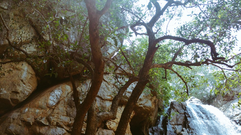 sahusunilkumar's tweet photo. କଳ କଳ ଅବିରଳ ତାର  ନିର୍ମଳ ଧାରା , ସୁନ୍ଦର ଏଇ ସାନ ଘାଗରା । #Waterfall #nature #OdishaTourism #Keonjhar @BBSRBuzz https://t.co/ziWdI59F7j