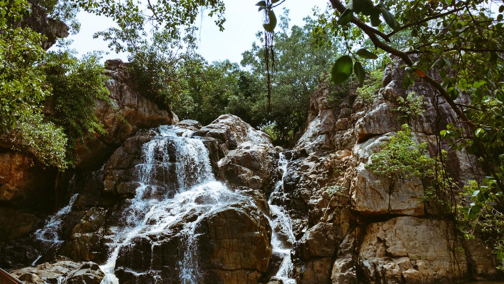 sahusunilkumar's tweet photo. କଳ କଳ ଅବିରଳ ତାର  ନିର୍ମଳ ଧାରା , ସୁନ୍ଦର ଏଇ ସାନ ଘାଗରା । #Waterfall #nature #OdishaTourism #Keonjhar @BBSRBuzz https://t.co/ziWdI59F7j