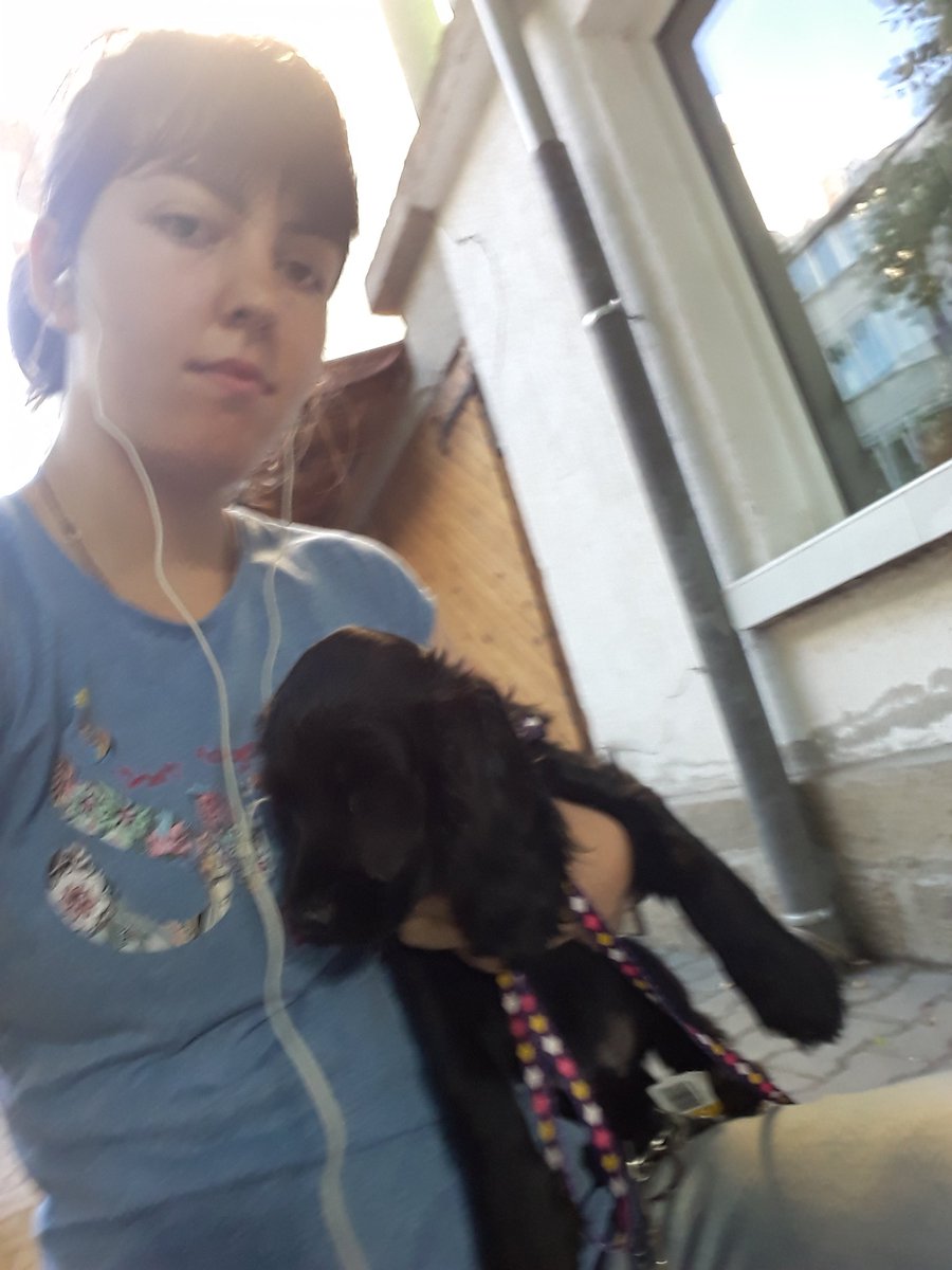 iovchevaaa's tweet image. 