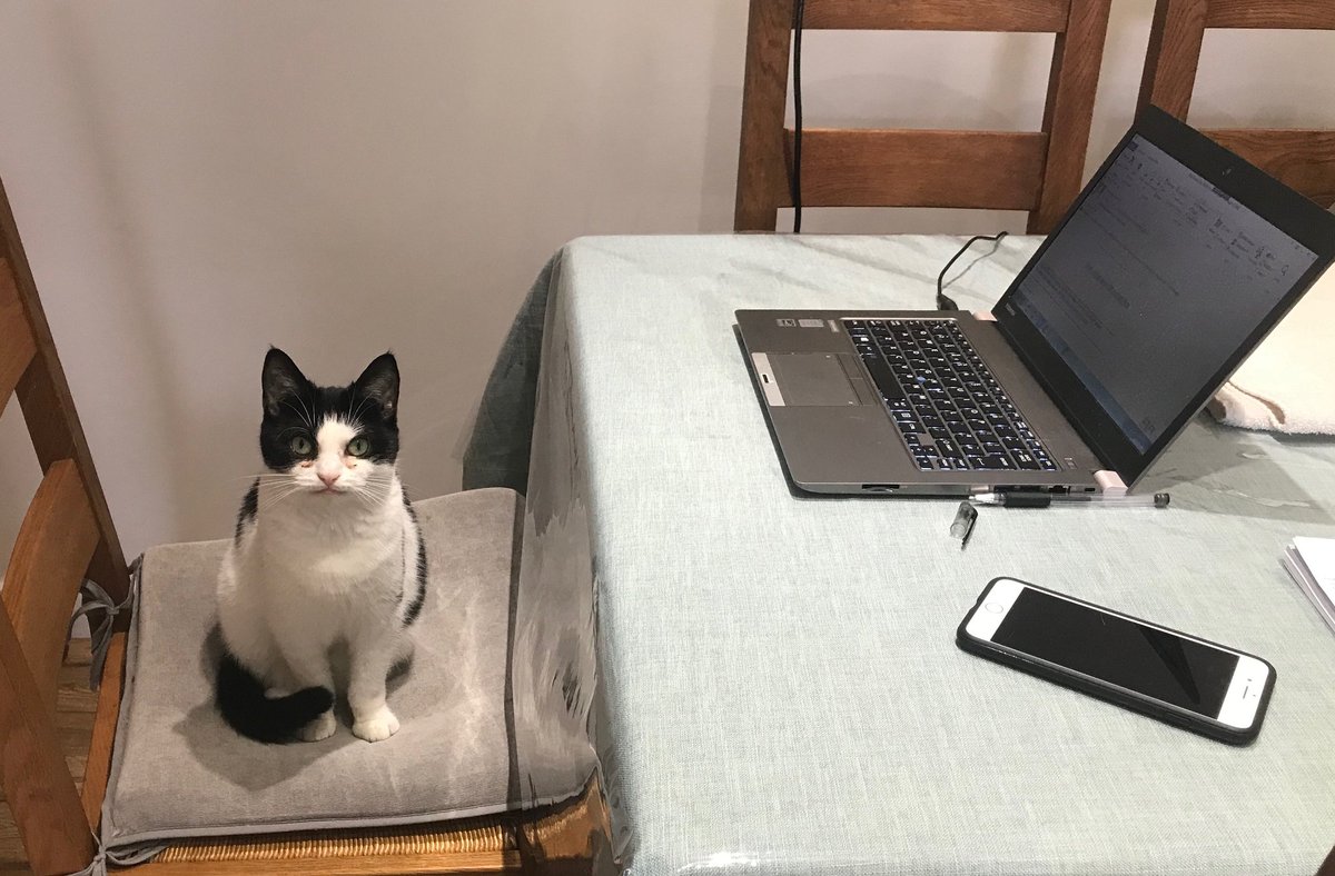 Wellcat87's tweet photo. Jeremy busy writing his memoirs..... https://t.co/QWO32zVAgg