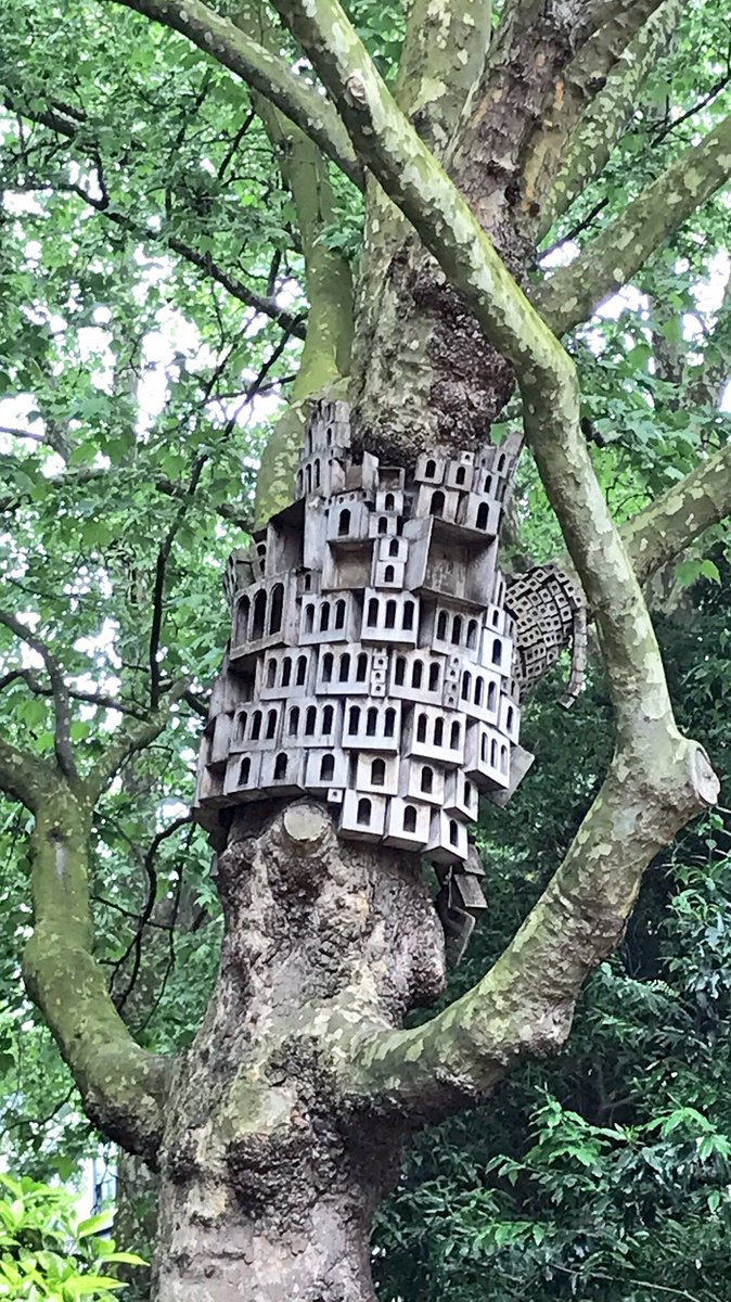 spec_cities's tweet image. Spotted these little #beehive #microhomes in St. James Church yard @CDWfestival 🐝