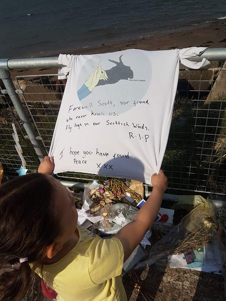 BP_Smith's tweet image. .Tiny changes. It's nice to know that not all of us suck at being human. #Frabbit #ScottHutchison