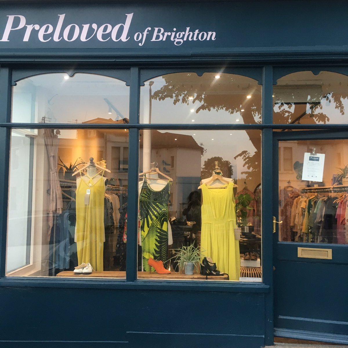 prelovedbtn's tweet photo. Shop windows this week... we're back open on Tuesday
#SmallBiz
#shoplocal
#brighton
#Supportindieshops https://t.co/VJTJMuwdYM