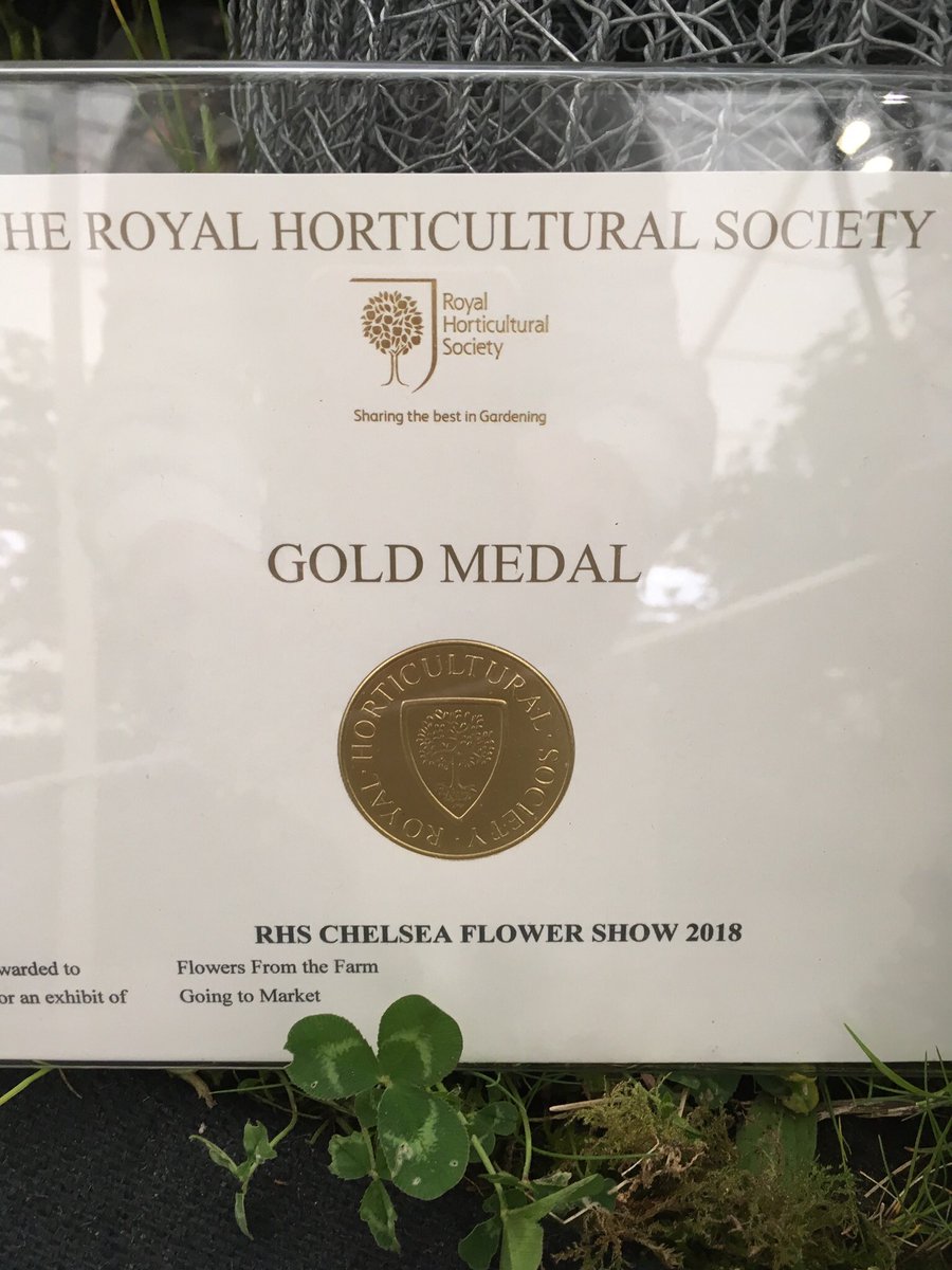 It’s been a great week for #britishflowers with a Gold Medal for <a href="/Flowers_ft_Farm/">FlowersFromTheFarm</a> display <a href="/The_RHS/">The RHS</a> #Chelseaflowershow.