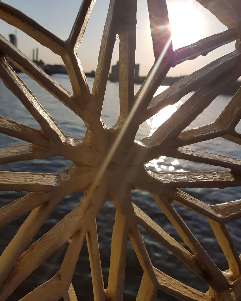 OceanSky_7's tweet image. #bokehphotography #bokehkiller #bokehshot #bokeh #mobilephotography #samsunggalaxy