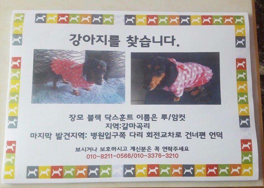Please!!!!looking for her....she is lost!😢😢😢😢😢😢😢😢#SHINee #Jonghyun #roo #jonghyunshinee