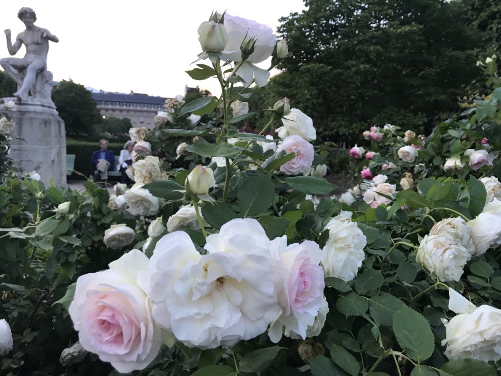 moontchock's tweet photo. https://t.co/LgcNhQ39zQ