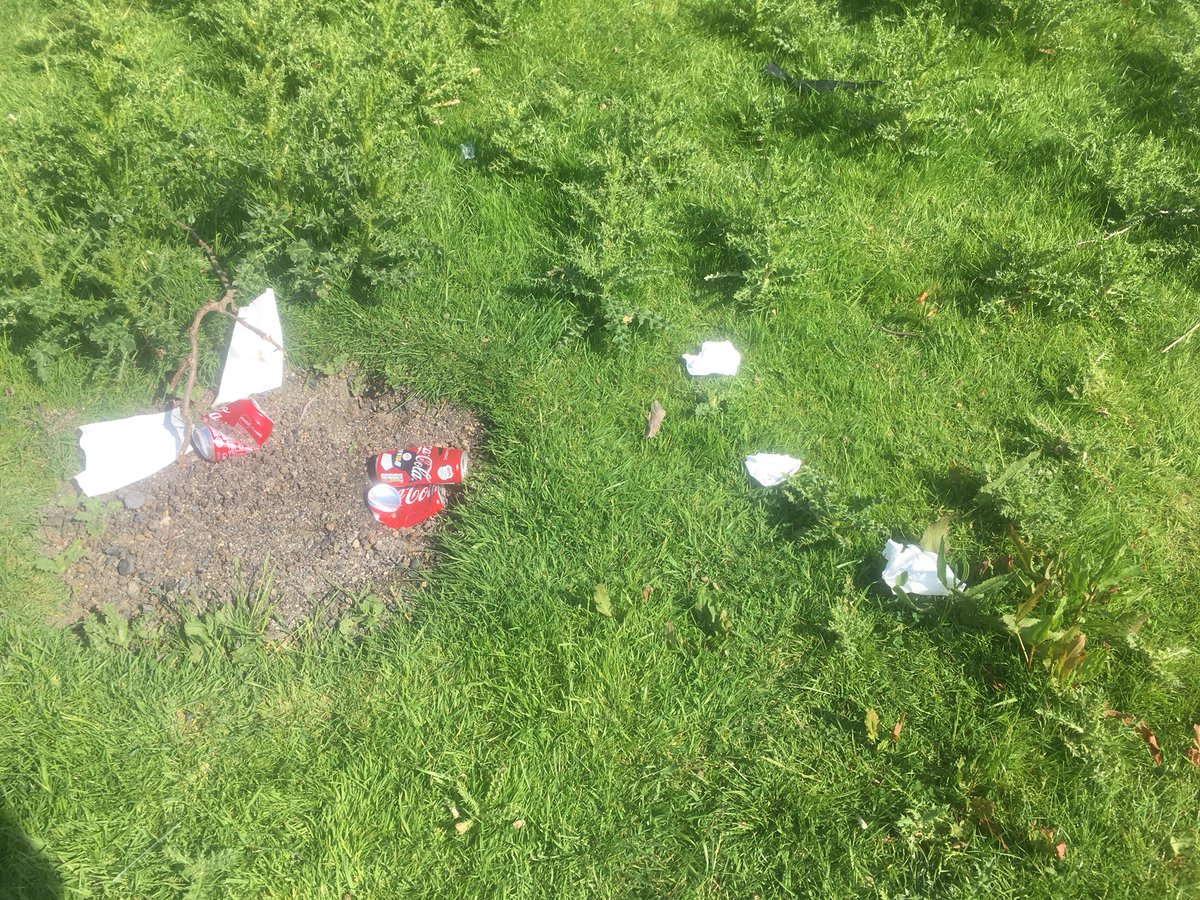 TurkishBathsBN7's tweet photo. Why oh why do people persist in picnicking in a beautiful spot and then leaving all their crap for @LewesDC to clear up! This is in the field adjoining the @cliffebonfire site. https://t.co/j8D8WNqUkZ