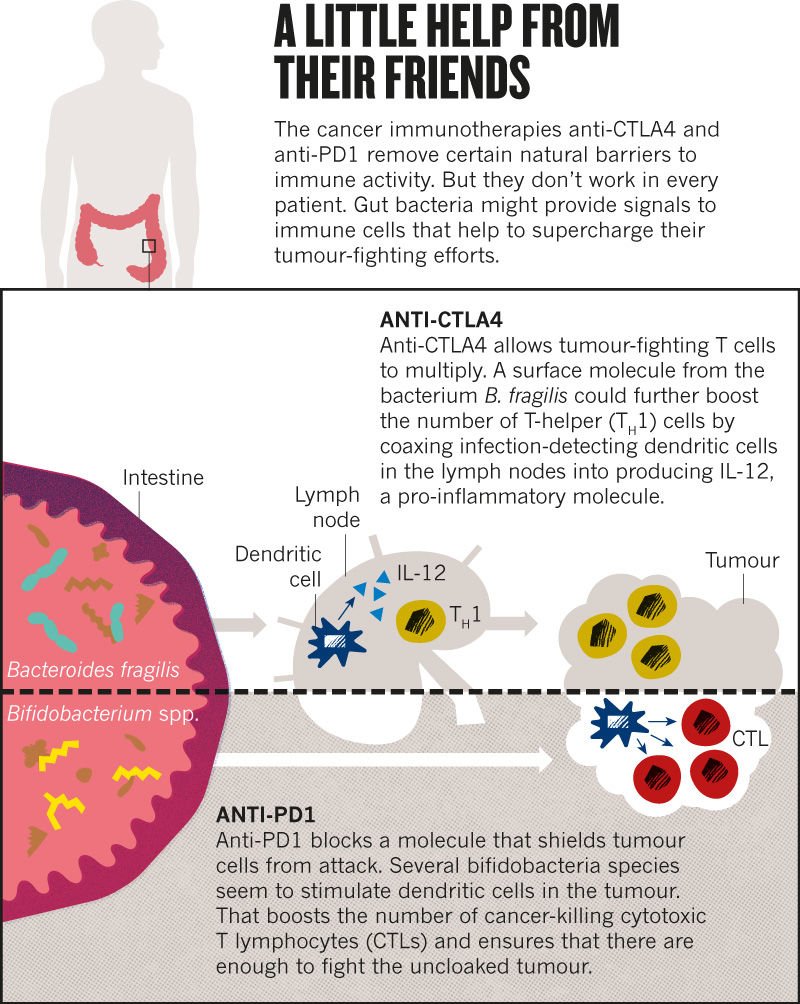 maria_percal's tweet photo. With a little help from my friends 🎶
#microbiota https://t.co/jphU1fRBxD