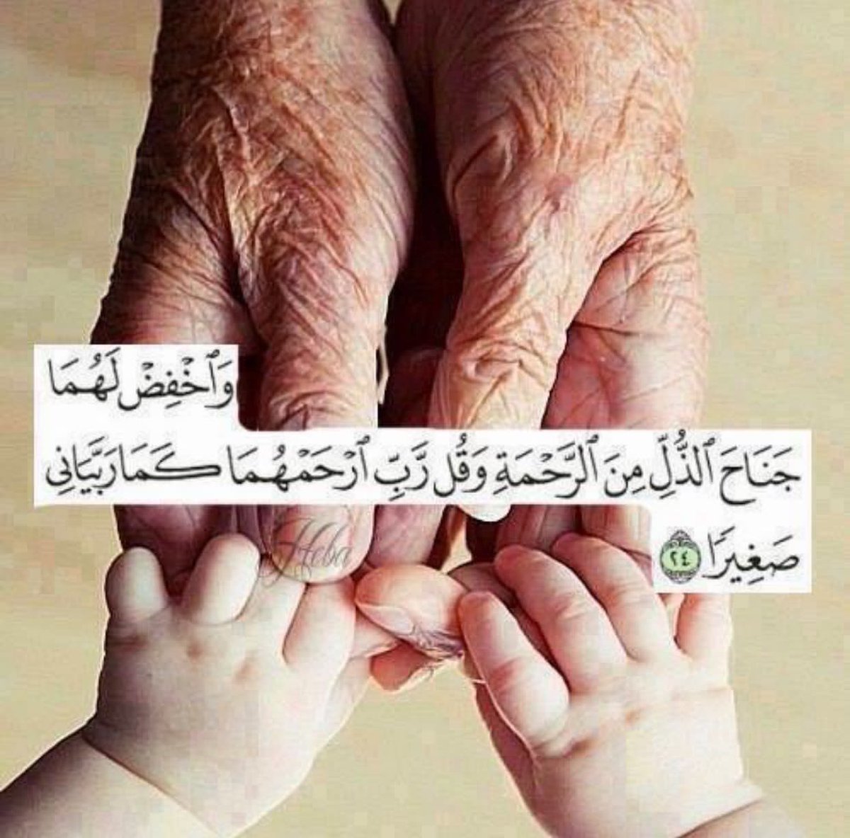 ���� ���� ������ �� ���� ������