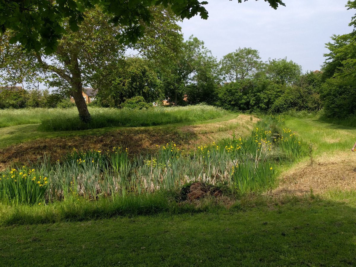 Cottenham Cyclist tweet media