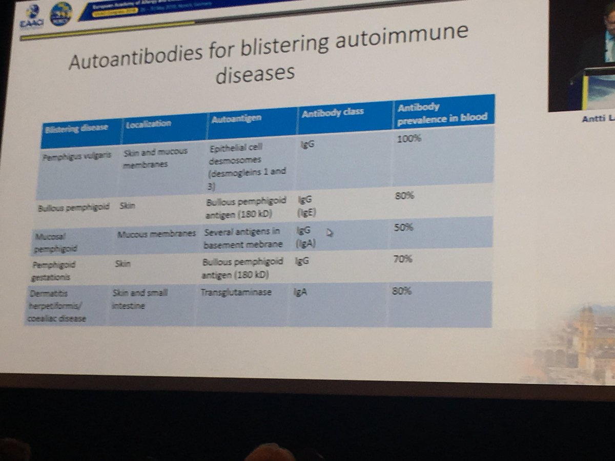 annasalacunill's tweet photo. Autoantibodies for blisterimg autoinme diseases!! #EAACI2018 @EAACI_HQ @CACscaic @cacseaic https://t.co/xqOreJjavA