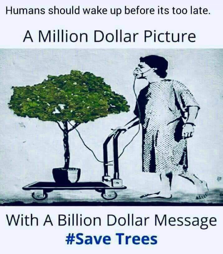 MakhdoomMasood's tweet photo. A billion dollar message!
We should think of innovative ideas to improve forest cover as we only have 2% of land under forest. Grow more trees to beat local temperatures &amp; we need to wake up before its too late. @WWFForestCarbon @AllForester @FOForestPK @TreeHugger #CCmitigation https://t.co/QoFpCfLWiK