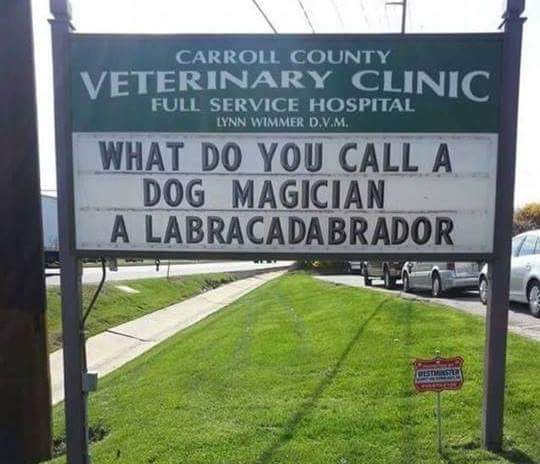 JEREMY HAYWARD (@jhjeremyhayward) on Twitter photo 