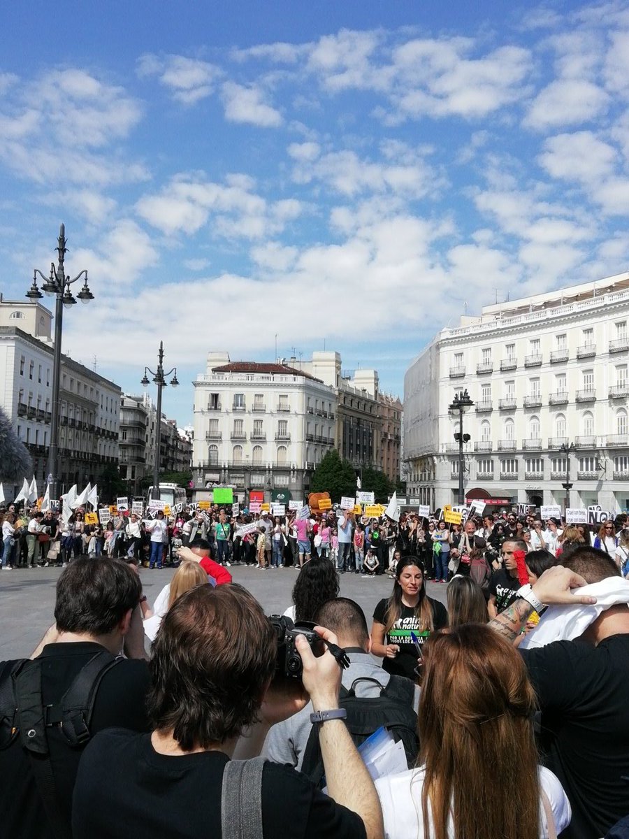 LTNEC's tweet photo. #TauromaquiaEsViolencia  estamos llenando la Puerta del Sol de #Madrid para demostrar que somos la mayoría social de este país https://t.co/dJVuqXvkpJ