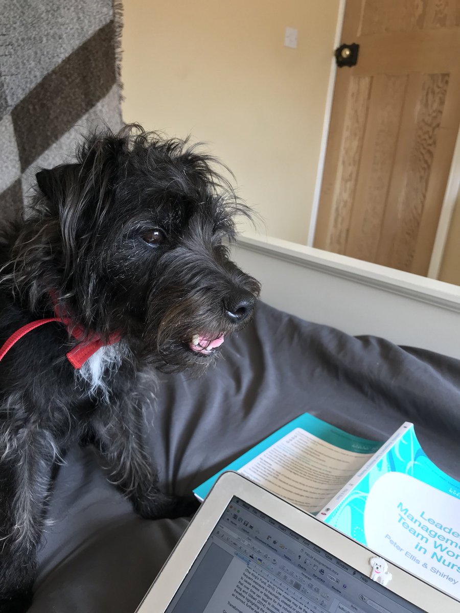 RN_Abigail's tweet image. We’re nearly there! #lastassignment