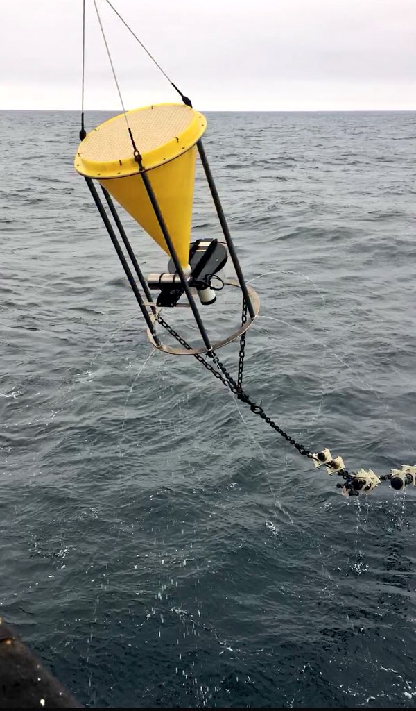 PAP_observatory's tweet photo. Recovery of PAP3 sediment traps is well underway this morning! #JC165 #PAPoftheday @NOCnews https://t.co/i4iYEBIFvU