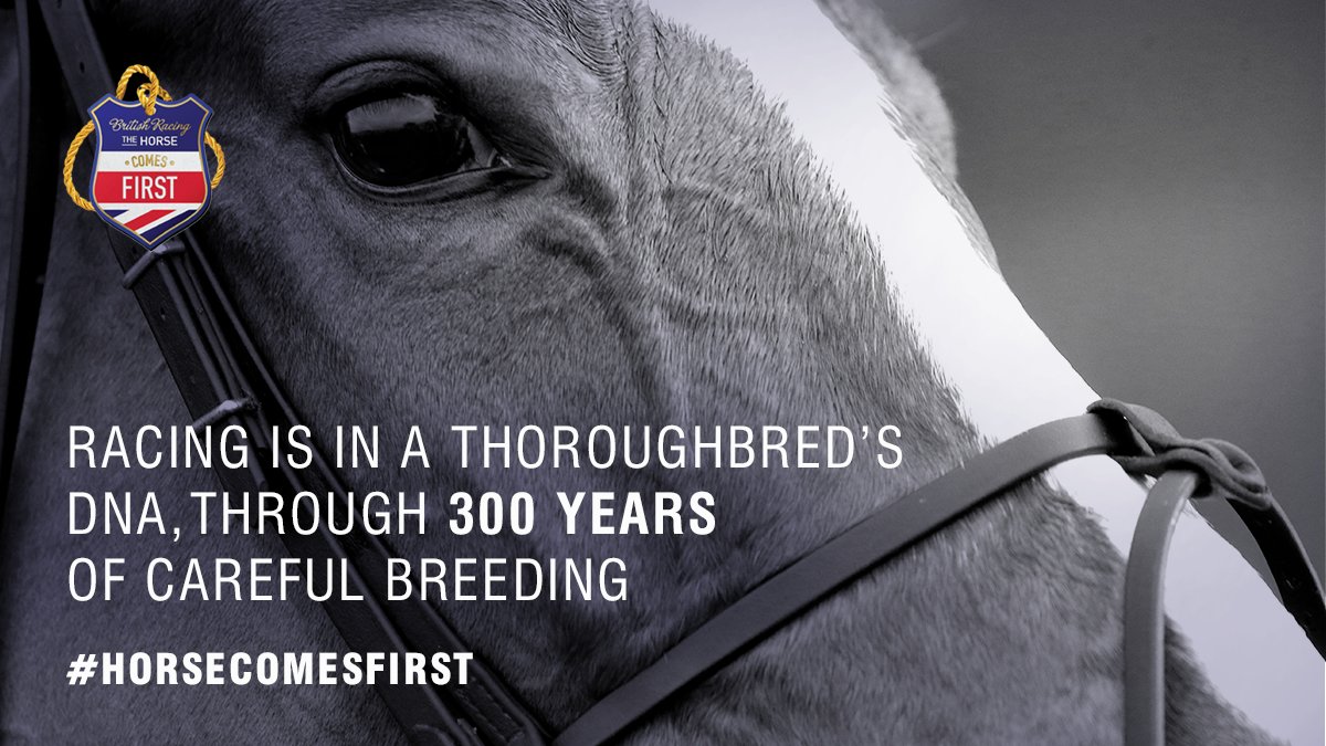 British Horseracing Authority tweet media