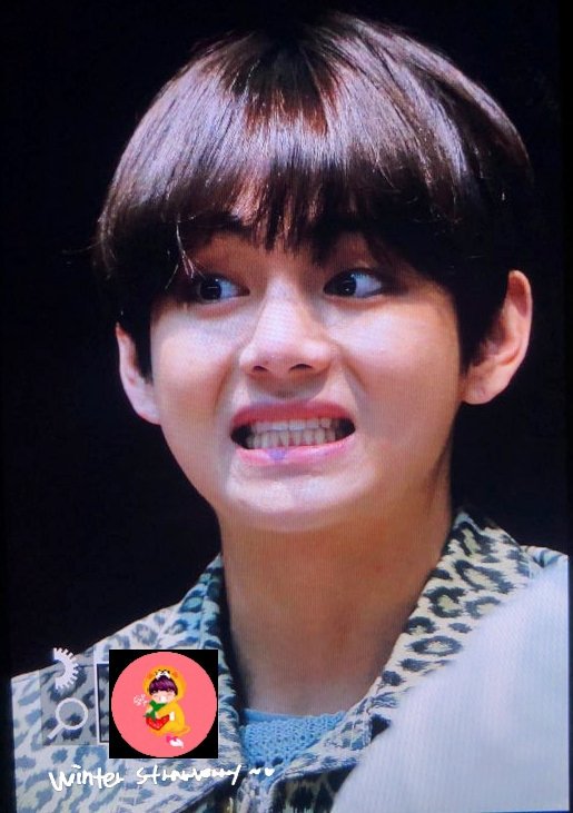 Winter StrawVerry❄🍓 tweet media