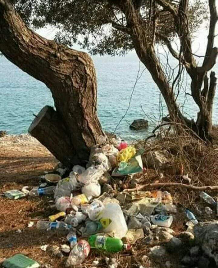 Çocuğunun boklu bezini doğaya bırakan bir insan, kendi evladına bombok dünyadan başka ne bırakabilir ki.
Hadi eyvallah.

#doğa #dogayisev