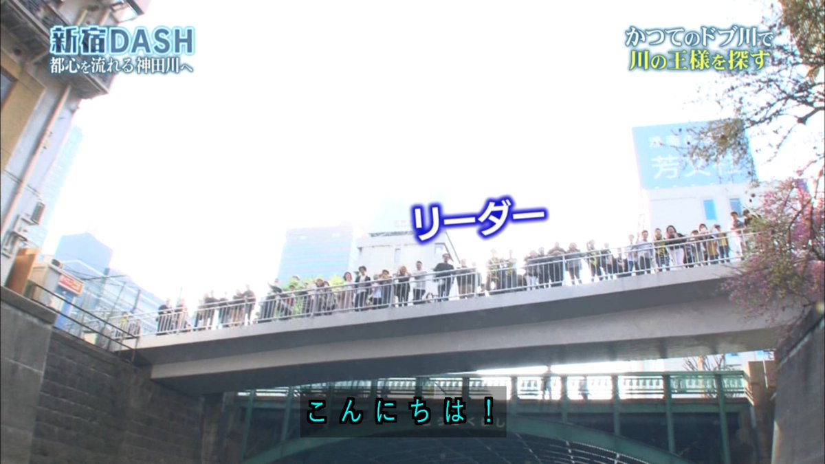 Larmes25's tweet photo. 安定の城島リーダー人気 #鉄腕DASH https://t.co/AVu5R5M1fR