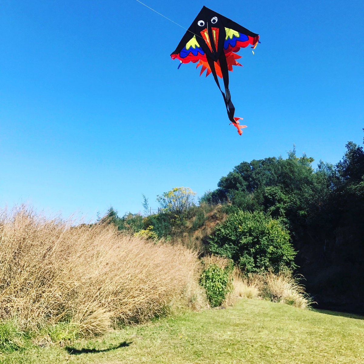 JaneLinleyT's tweet photo. Flying high @MidlandsMeander @MelissaAndDoug #kites #cavershammill π https://t.co/L3OACa8xmW