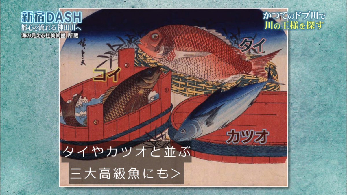 川からtokioが流れてきたよ 川の王様 と呼ばれる魚を追ってリーダーと太一くんがゴムボートで都心の神田川を調査 鉄腕dash 2ページ目 Togetter