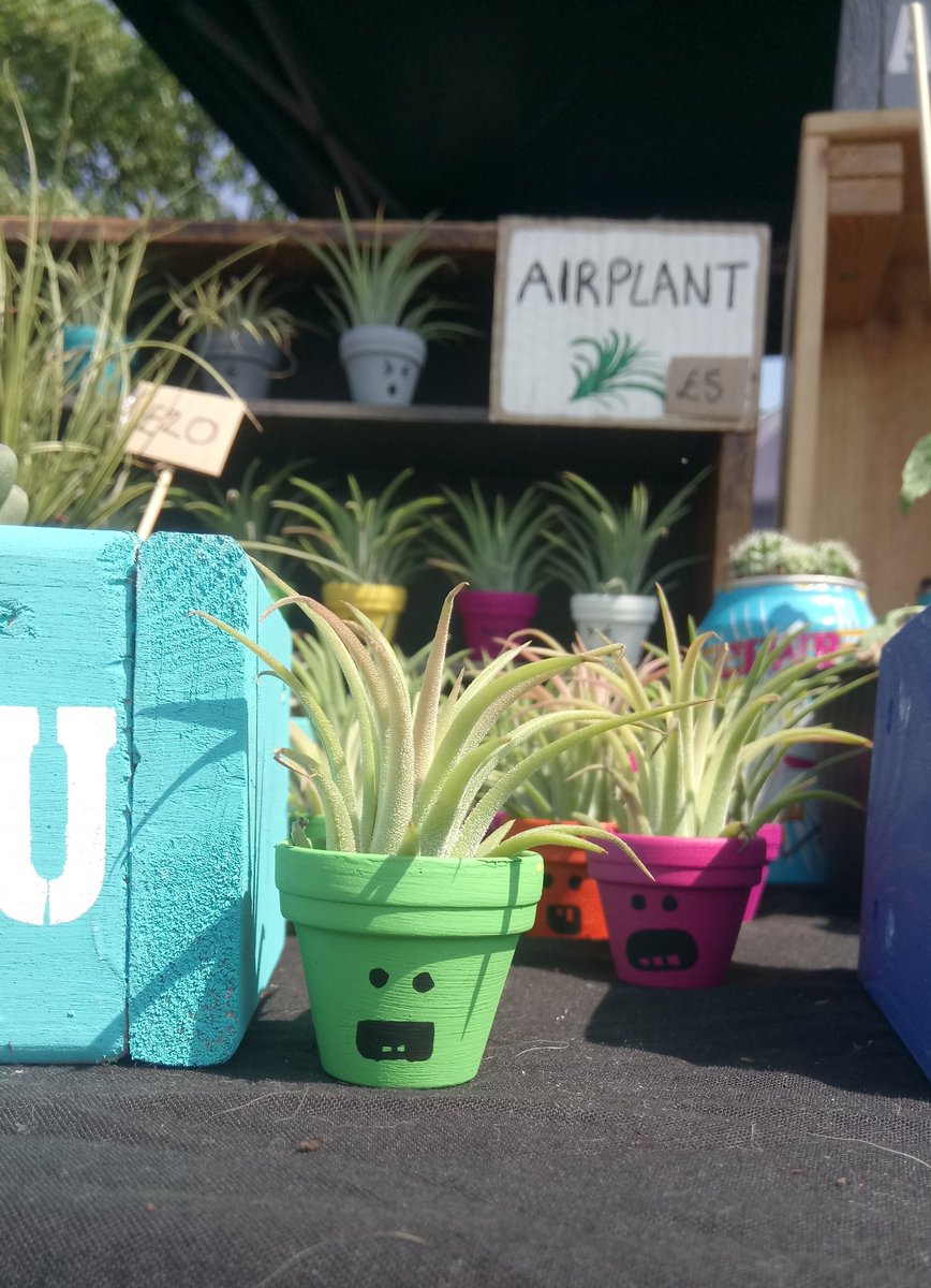 shrubbiesplants's tweet photo. We're ready for you #WestDidsbury! We've got some fancy new planters for you as well as some of your favourites! Get yourself down here 11-4pm! ☀️🌶️🌵🌿 https://t.co/jyKo7OXMUT