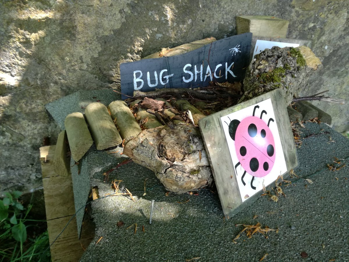 jane_robbo's tweet photo. Great find yesterday #corstorphine hill walled garden. Highly recommended #keepedinburghbuzzing https://t.co/zYKajpg8Lo