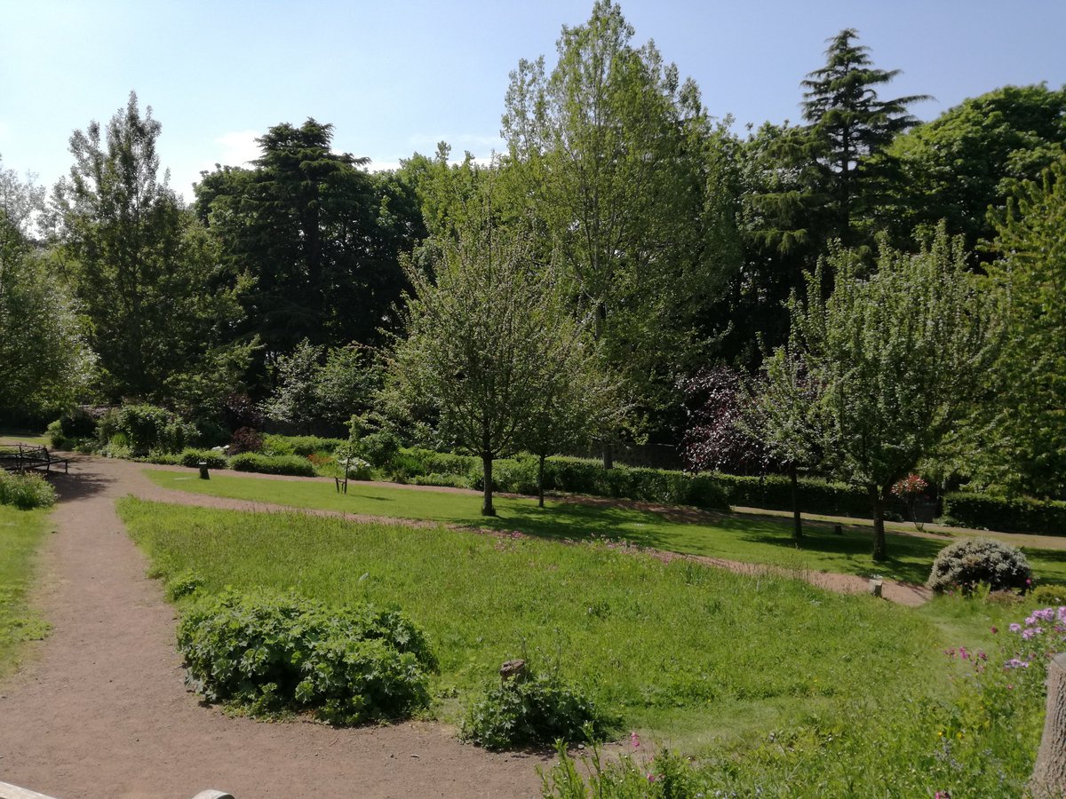 jane_robbo's tweet photo. Great find yesterday #corstorphine hill walled garden. Highly recommended #keepedinburghbuzzing https://t.co/zYKajpg8Lo