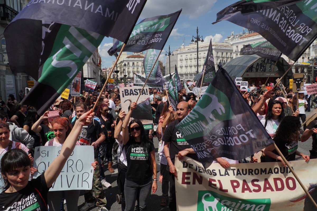 AnimaNaturalis's tweet photo. ¡Gran éxito en la manifestación #TauromaquiaEsViolencia! ¡Seguimos la marcha por el fin de la tauromaquia! #TauroViolencia https://t.co/BFMIbtDS2s