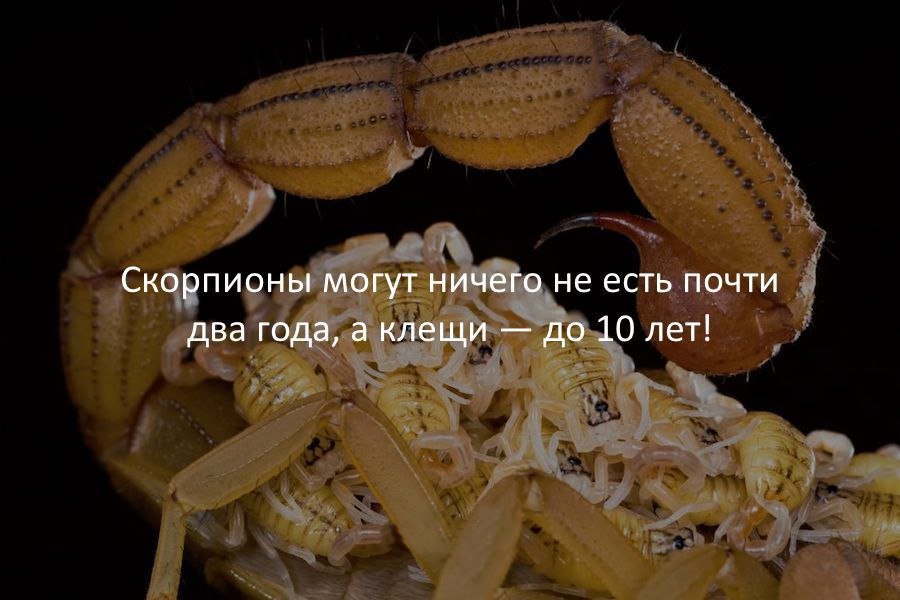 twbsmrt tweet picture
