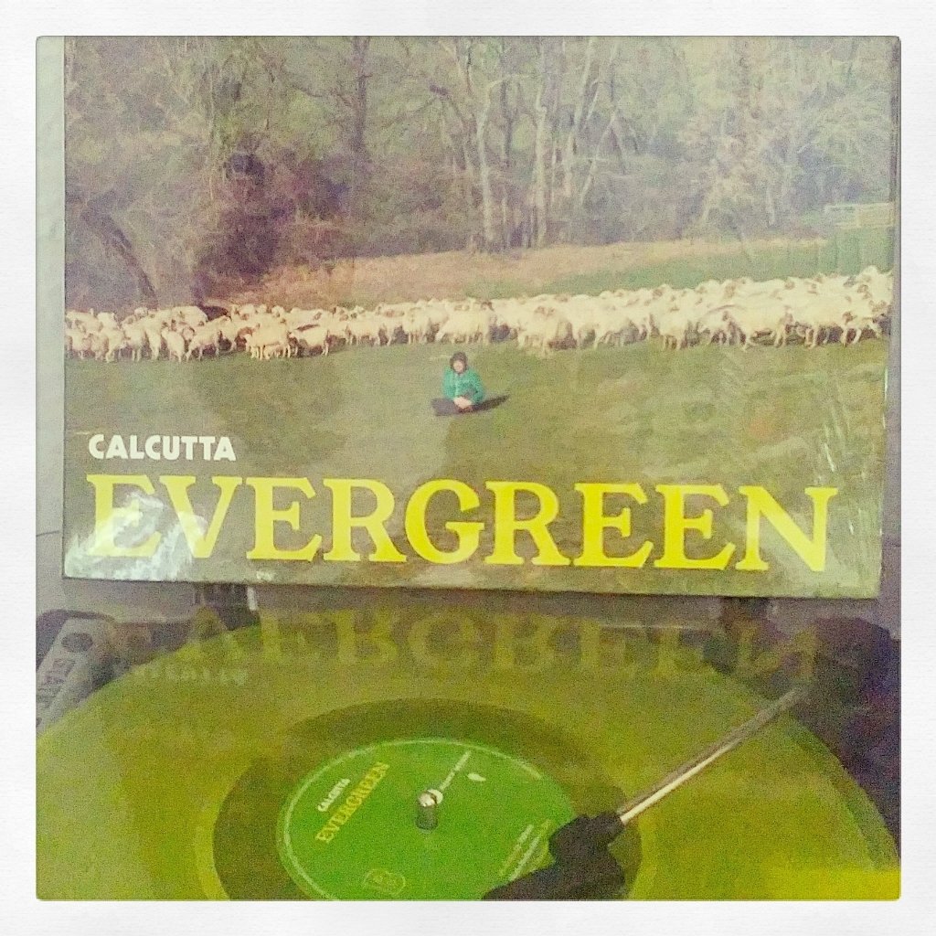 skylyro.com on X: Sunday #vinyl #calcutta #evergreen #transparentvinyl  #disco #vinile #giallotrasparente #33giri #pecore #sempreverde   / X