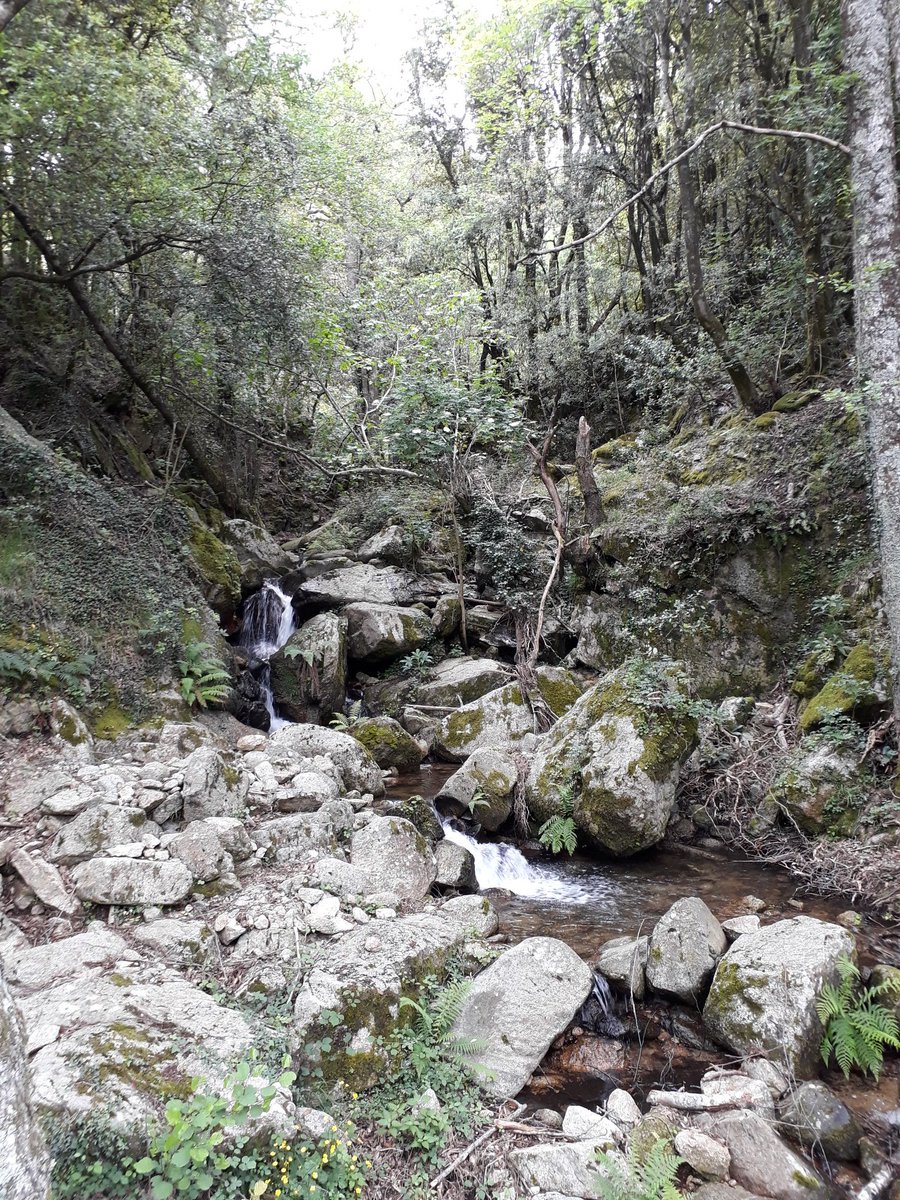 KarineLL_20's tweet photo. #VTT🚴♀️ #PrunelliDiFiumorbu 🌫
➡️#Isulacciu #SanGavinu #Villages #Corse https://t.co/KSLIJDBMvx