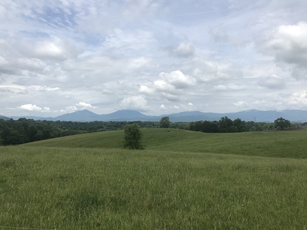 Doesn’t get much more beautiful than this!
#hopkinsrealestate #remaxcommunity #lovewhatyoudo #heretoserve
#lynchburgva #lynchburg #centralvirginia #ourlynchburg #lynchburgliving #realestate #virginia #virginialiving #centralvirginiahome #lynchburghome #realtor #zillow #home