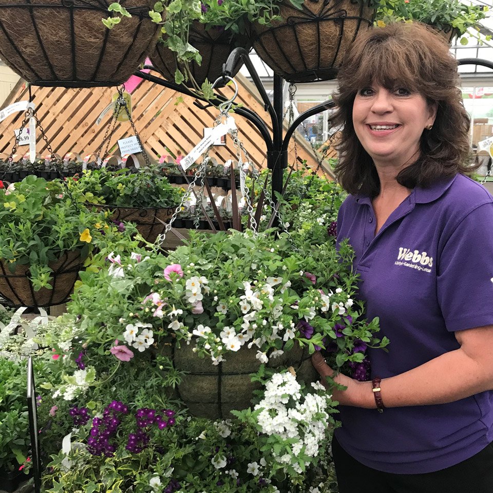 bs Garden Centres on Twitter "Yet to rustle up your hanging baskets