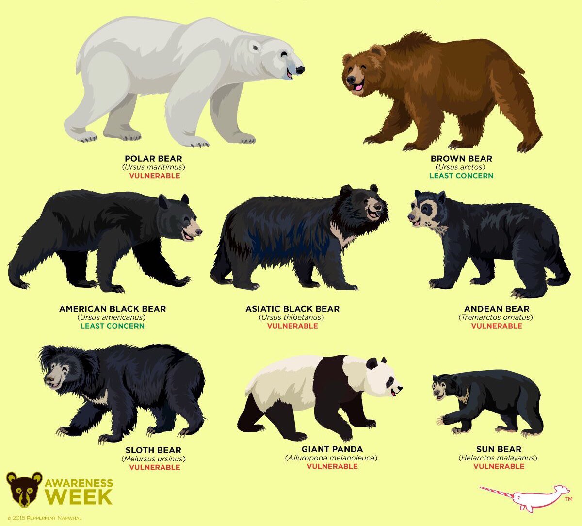 Kirsty on Twitter "Today is the end of BearAwarenessWeek. There are 8