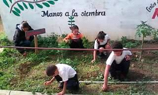 liddass's tweet photo. #Ahora #27Mayo 404 instituciones educativas del estado #Falcon activadas en conmemoración al Día del Árbol con la siembra de plantas ornamentales y de distintos rubros #diadelÁrbol @JauaMiranda @MPPEDUCACION @MarelysCastro21 @S_educacionfal @vclarkb https://t.co/QW7E0k2SHQ