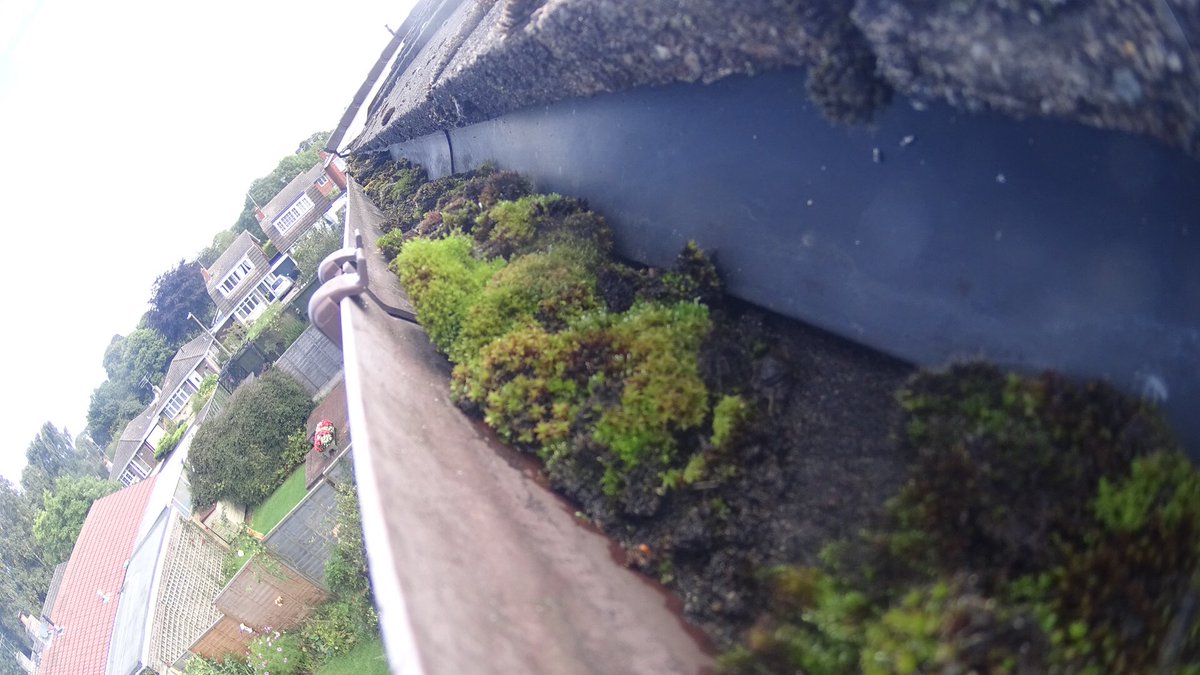 gutterPROuk's tweet image. Did you know that today is National Gutter Test day? GutterPro.co.uk to get yours sorted.