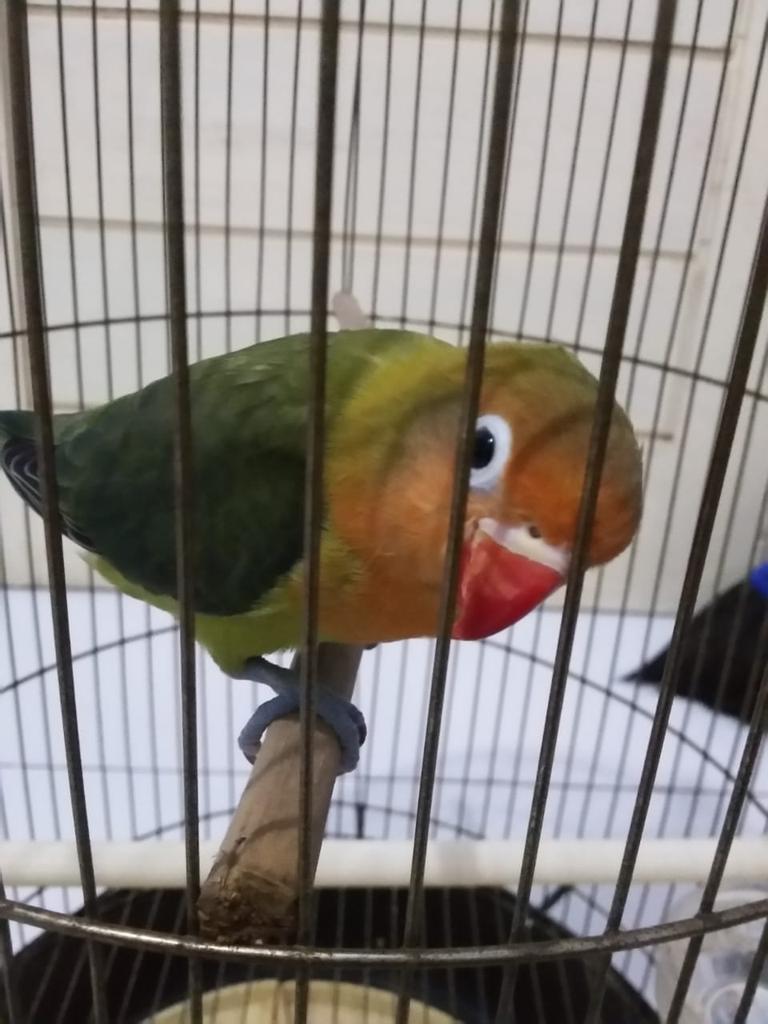 Selalu nikmati prosesnya dan selalu libatkan Dia..